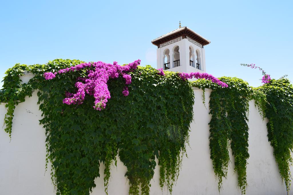 Apartamentos Carmen De Ramilla Granada Dış mekan fotoğraf