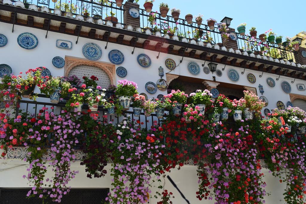 Apartamentos Carmen De Ramilla Granada Dış mekan fotoğraf